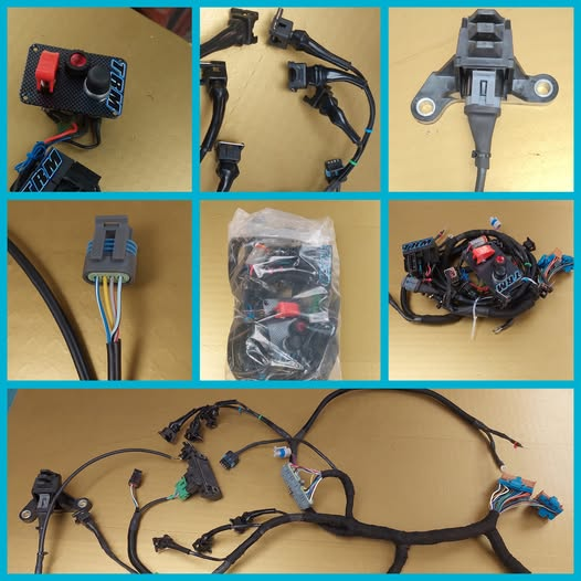 Wingless Sprints Wiring Loom